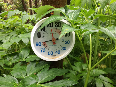 April 5, 2021. 7:03 AM, temperature 20°C, humidity 92%