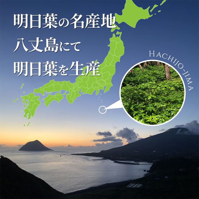 明日葉の名産地八丈島にて明日葉を生産 HACHIJO-JIMA