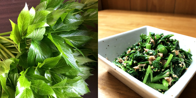 明日葉 明日葉の炒め物