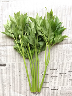 100gの明日葉