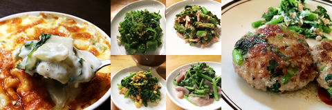 明日葉の和え物