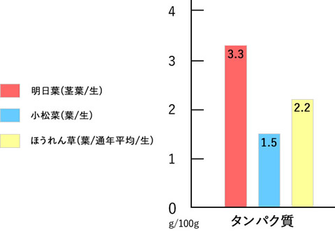 明日葉と小松菜とほうれん草|タンパク質、明日葉3.3g、小松菜1.5g、ほうれん草2.2g